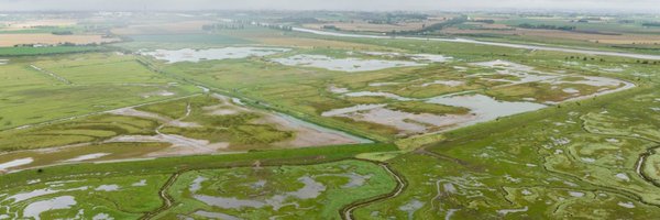 RSPBFrampton Profile Banner