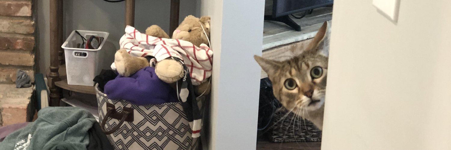 RachelStoks's profile banner image