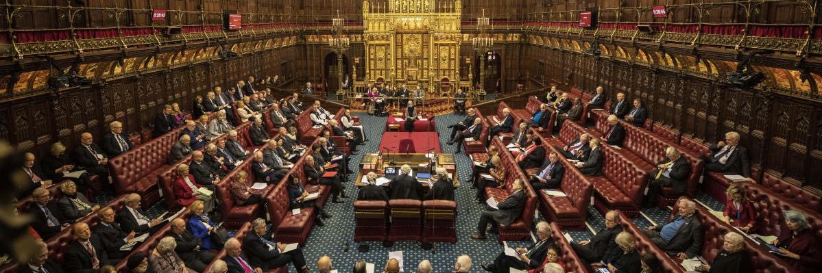 Susan Williams banner