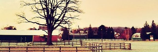 gabacho2015's profile banner image