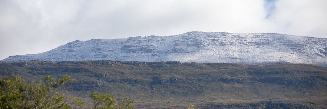 Life's Eternal Scholar! banner