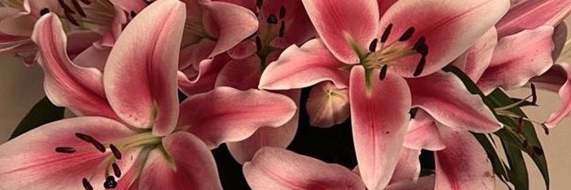 bahargunes435's profile banner image