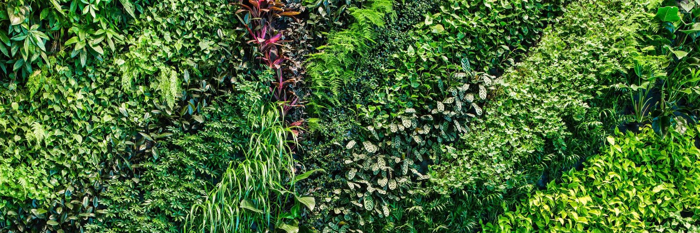 Center for Open-Source Data & AI Technologies banner