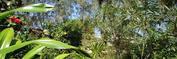 TimoLeiter Profile Banner