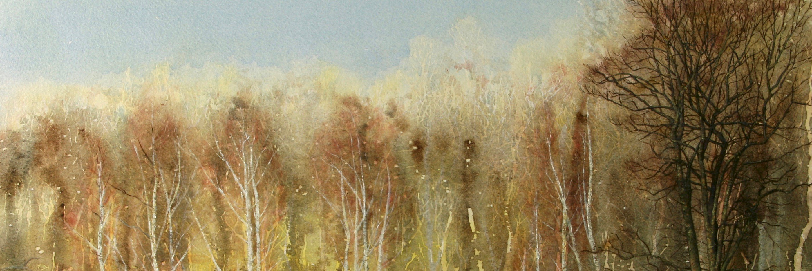 rmiller_art's profile banner image