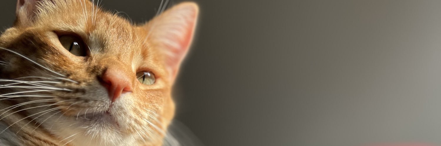 Valentinad_____'s profile banner image
