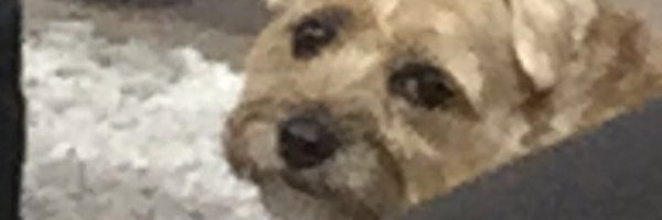 LukasRadlin Profile Banner