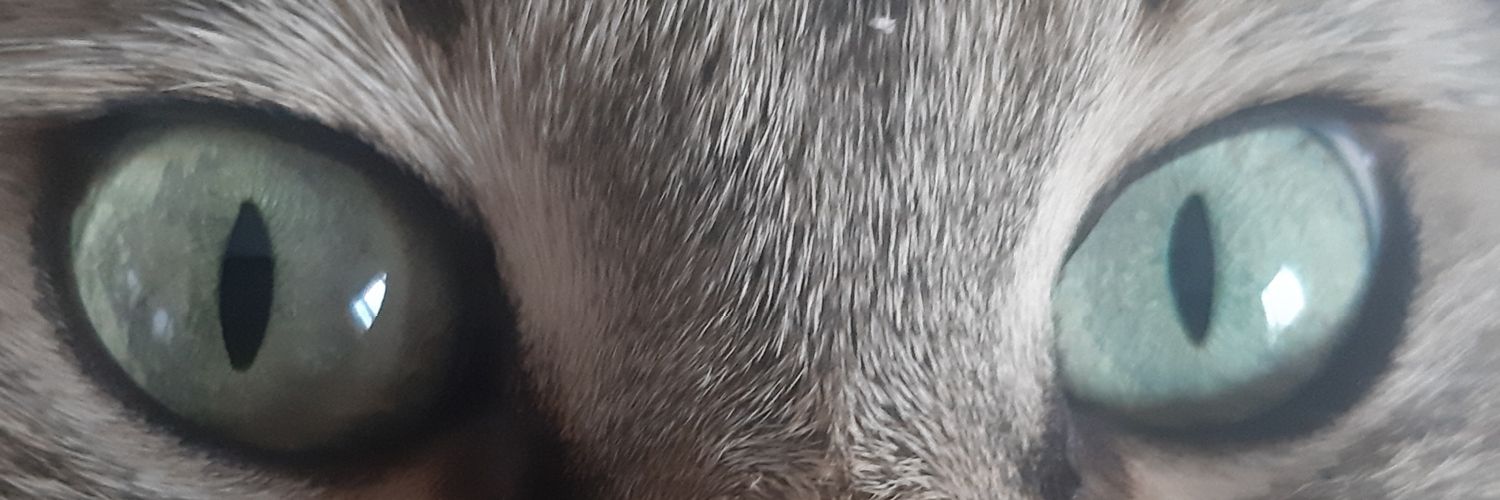 fsarac0's profile banner image