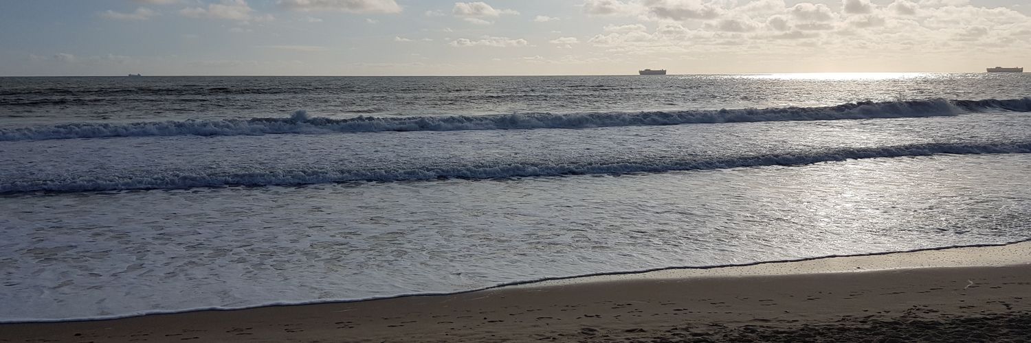 MaddisonTuri's profile banner image