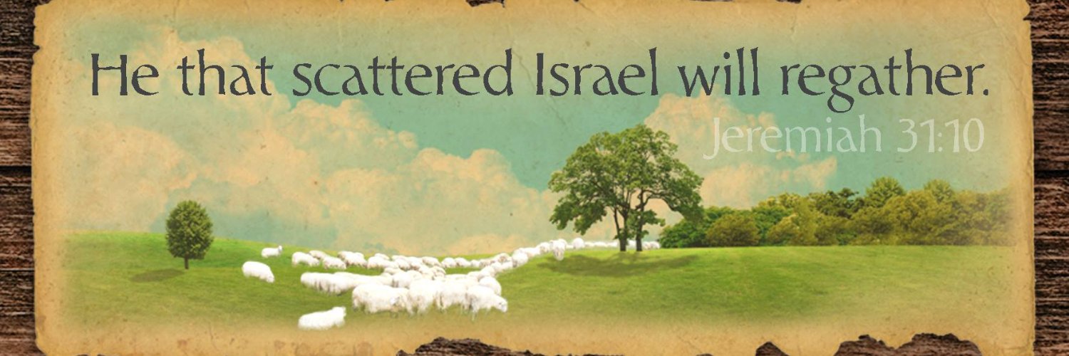 OneScattered banner