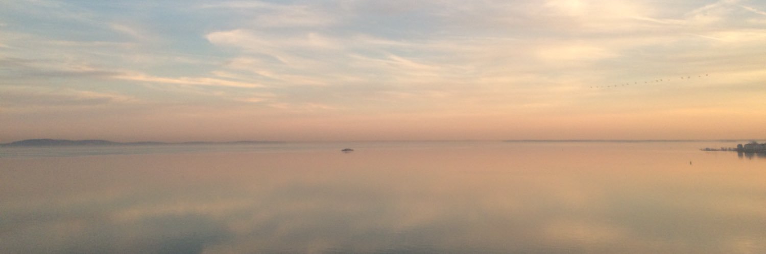 Alexandre Alanio banner