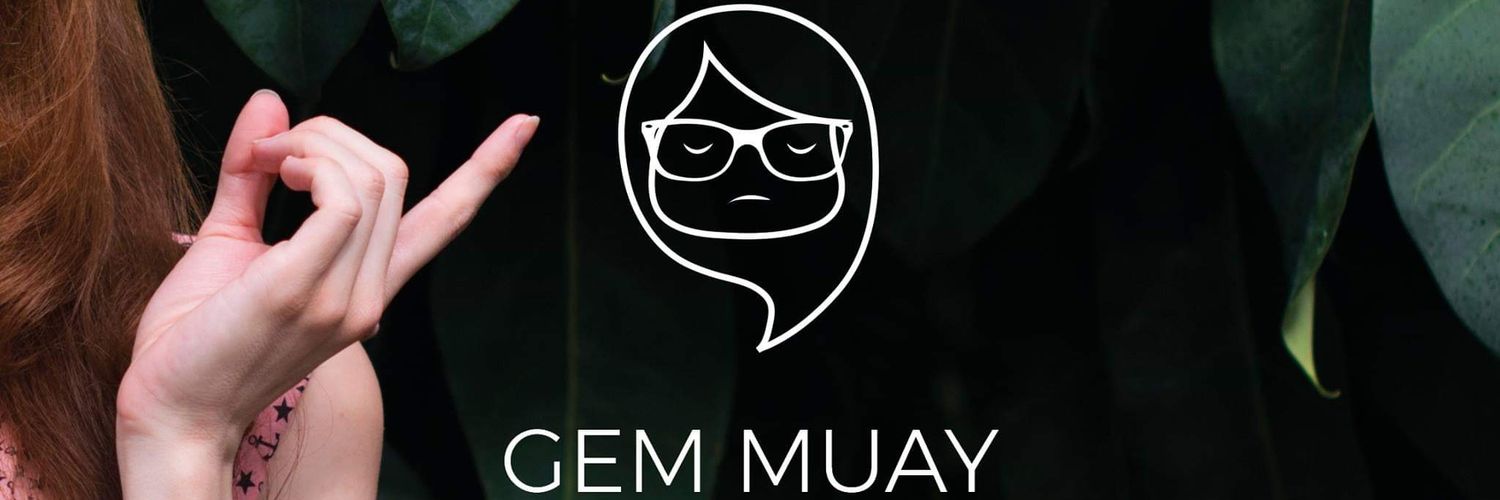 Gem Muay 🦩🏳️‍⚧️ banner