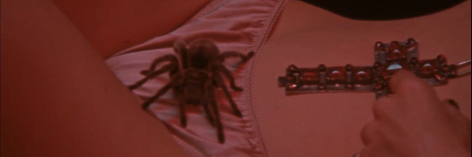 lorellnextdoor's profile banner image