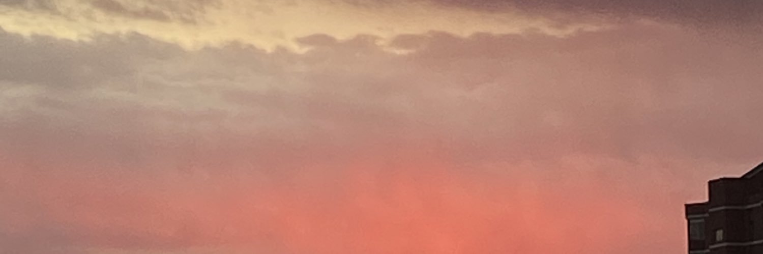 _s_a__l's profile banner image