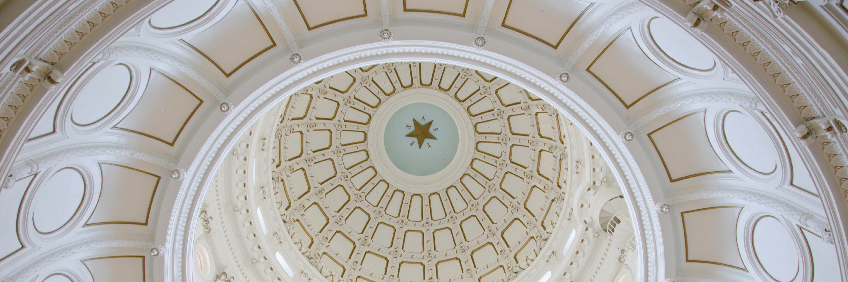 TSAFFNews's profile banner image