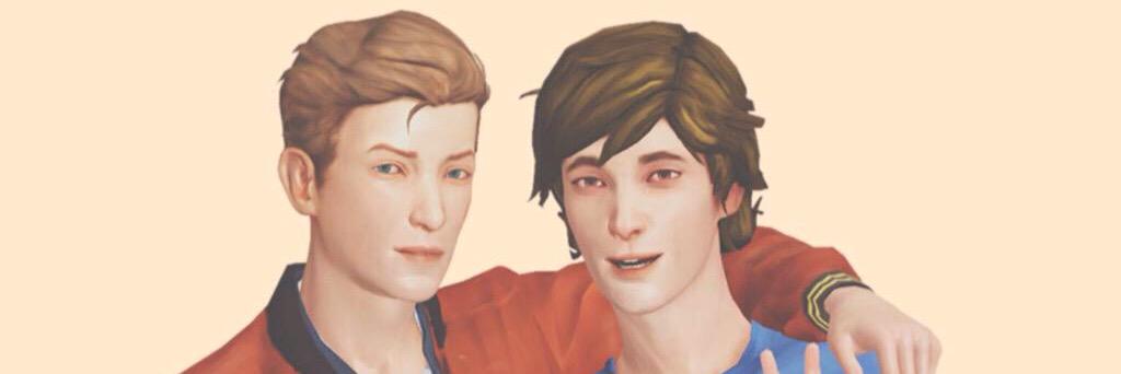 Warren Graham banner