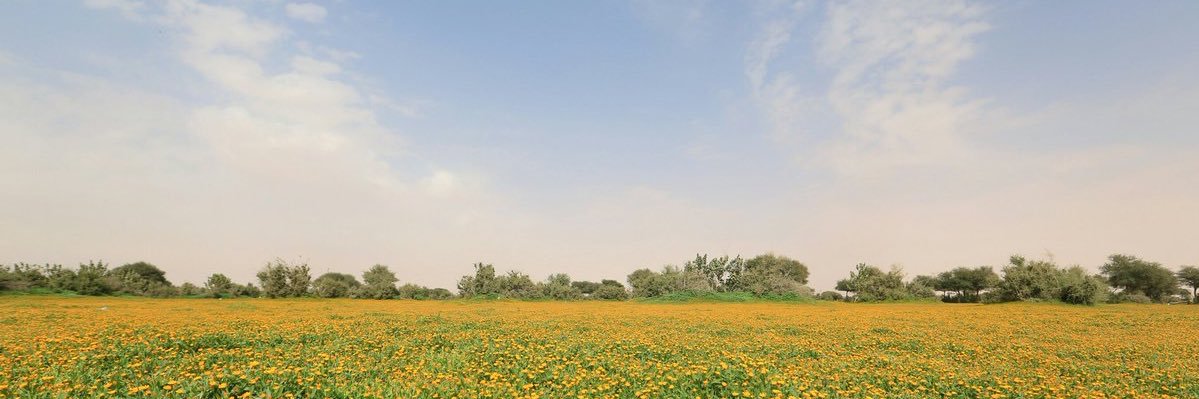 بدر الطريّف banner