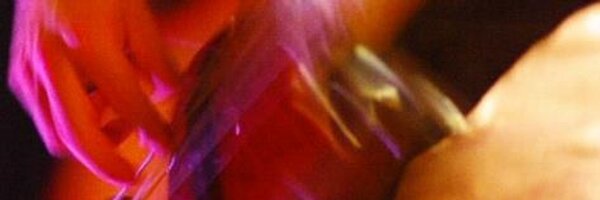 Loverb_hatta Profile Banner