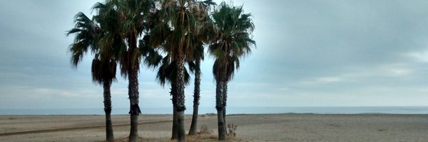 xals66 Profile Banner