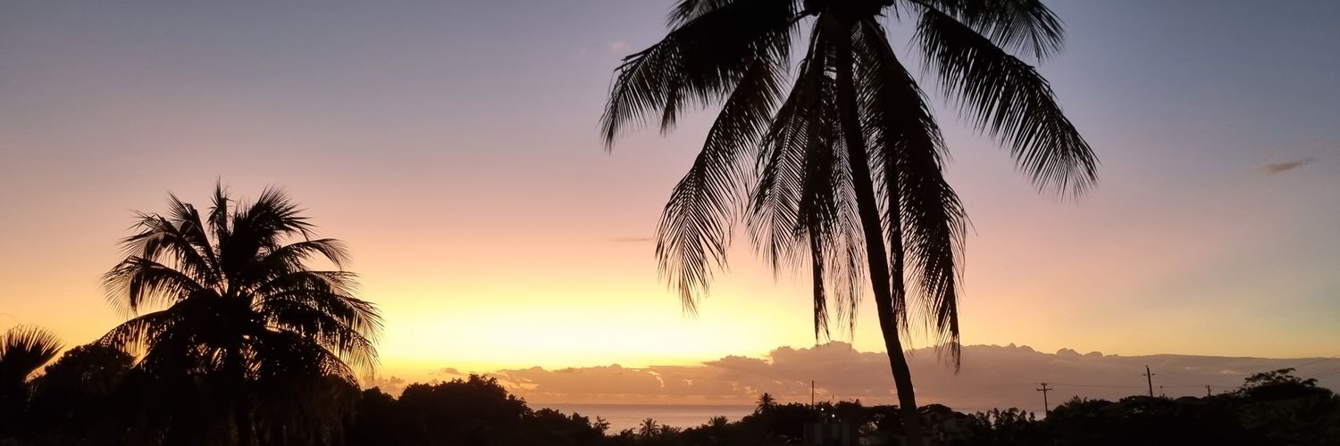 Travellingtheworld✈ banner