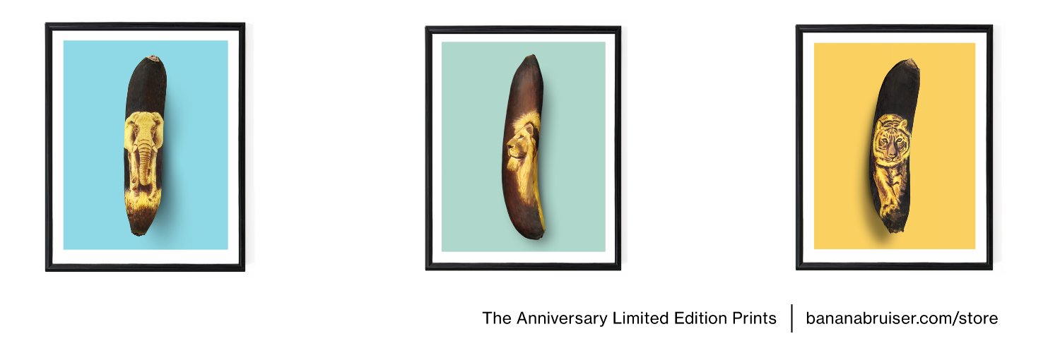 Anna Chojnicka banner