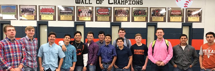 Brandeis Baseball banner