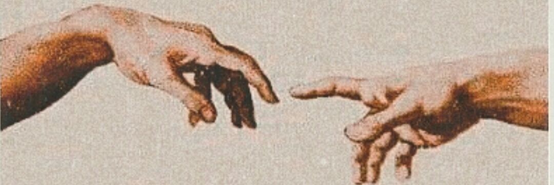 salmayasser___'s profile banner image
