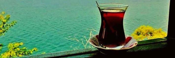 HayalGulcin's profile banner image