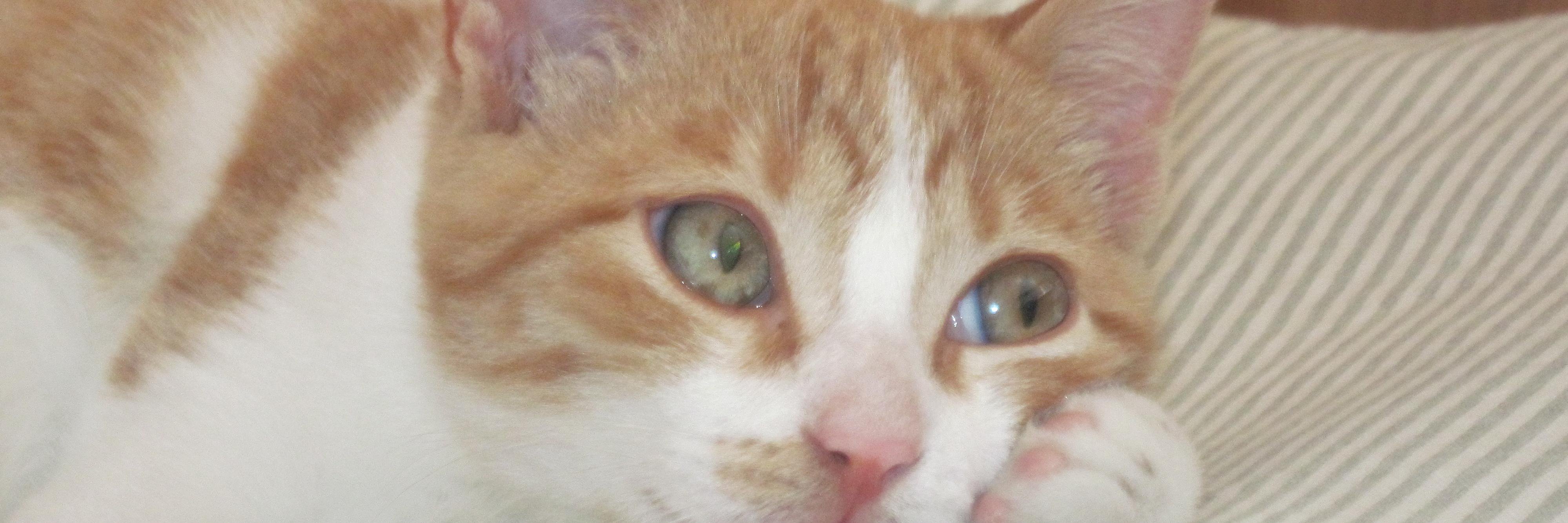 Jorgixon's profile banner image