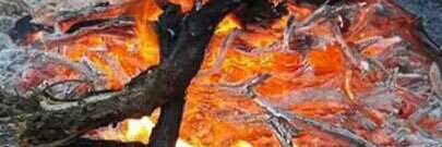 algdagy's profile banner image