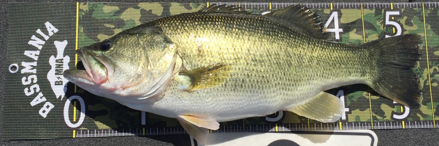 07bass18's profile banner image