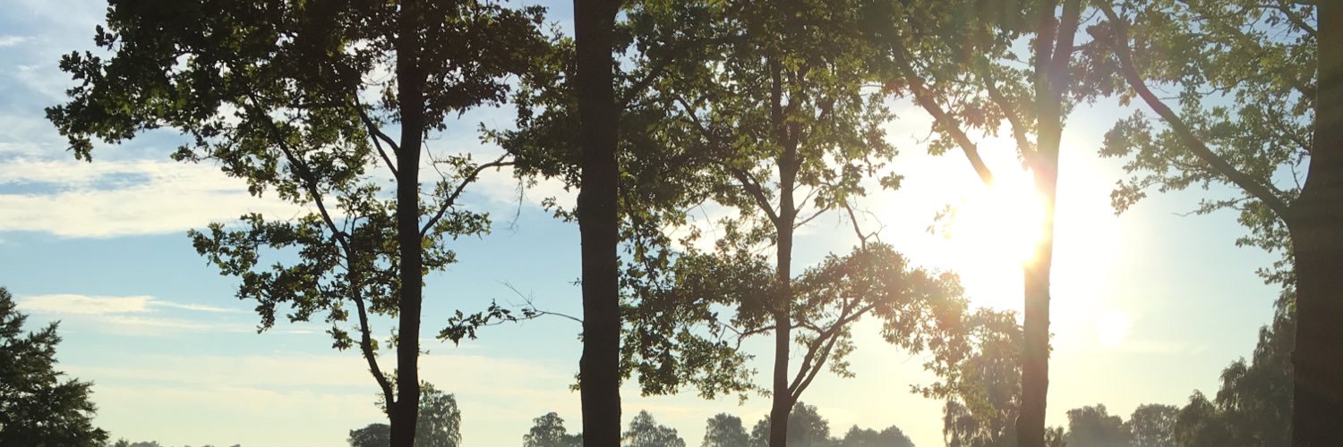 MicrocapNordic banner