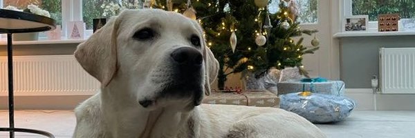 MilzBoyd Profile Banner