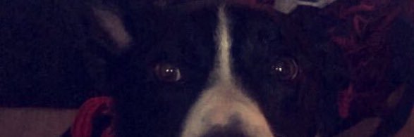 moffjames's profile banner image