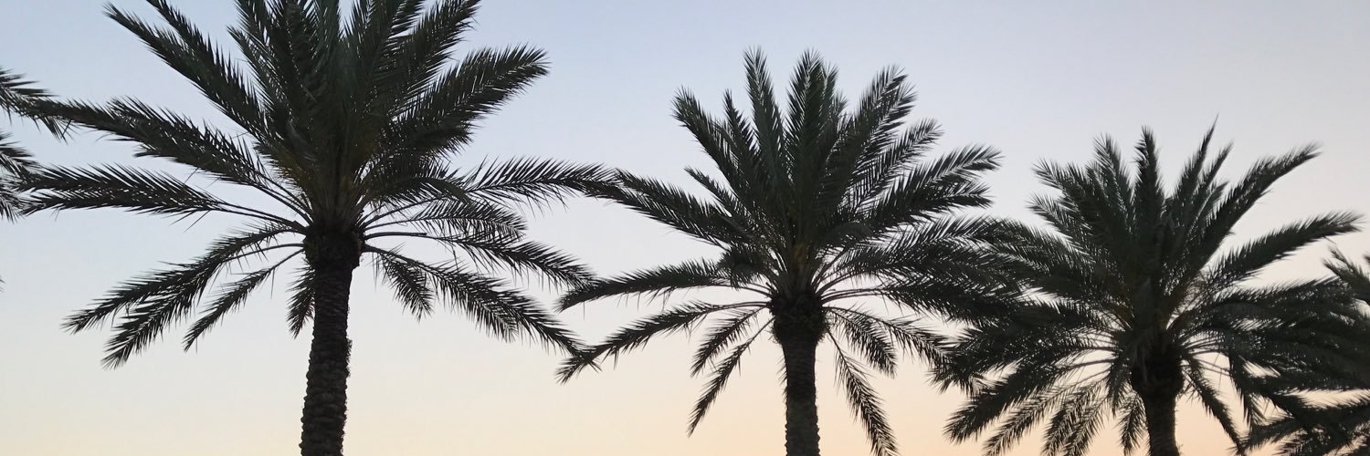 lindbatt's profile banner image