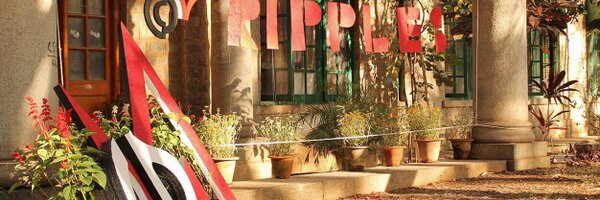 designatiisc Profile Banner