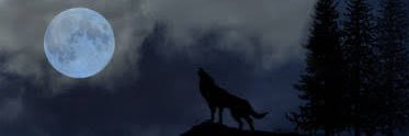 legendau's profile banner image