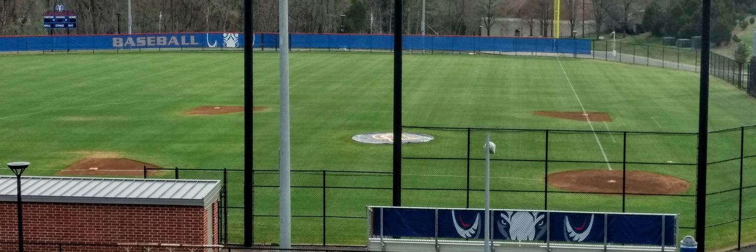 Riverside Baseball banner