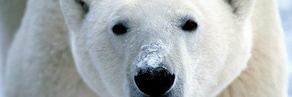 JaneCallaghan10's profile banner image