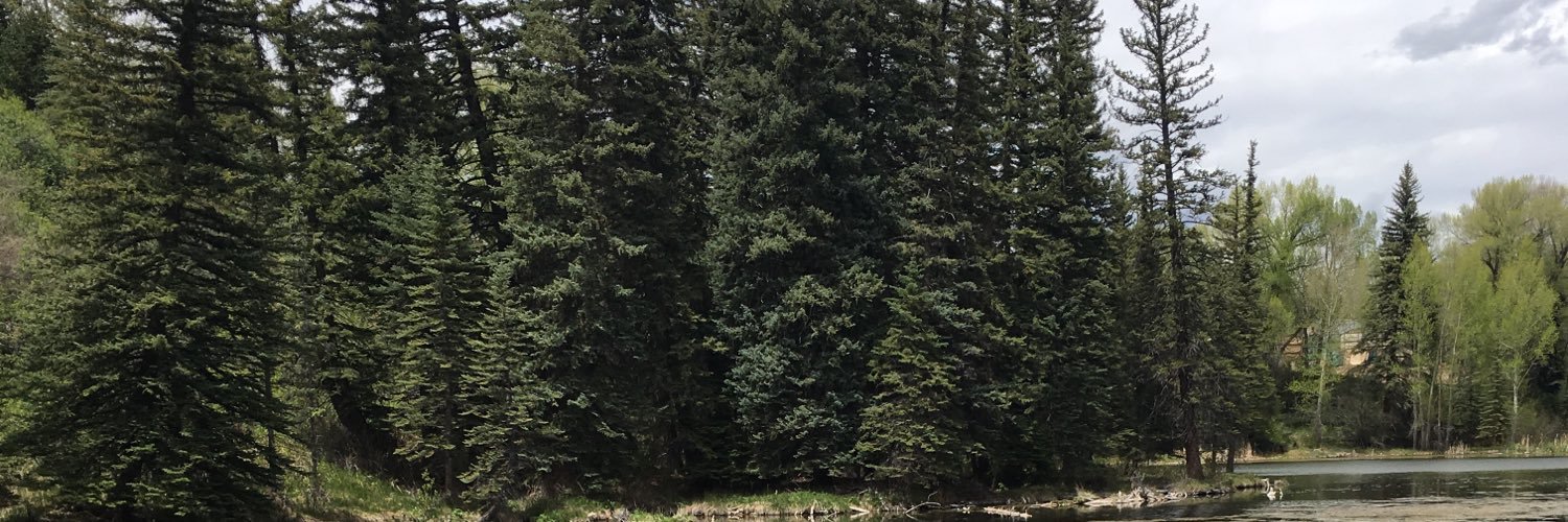 KaleyMurillo's profile banner image
