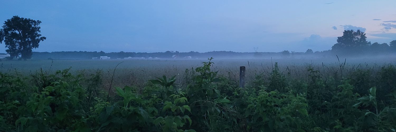 LizBeffers's profile banner image