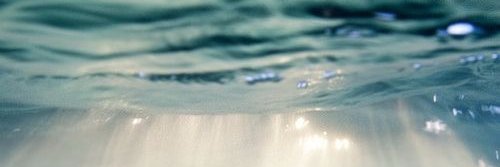 mariannecrew's profile banner image