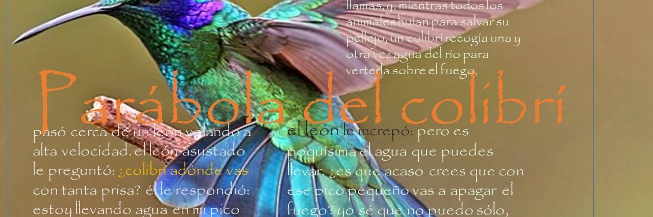 pepe grillo banner