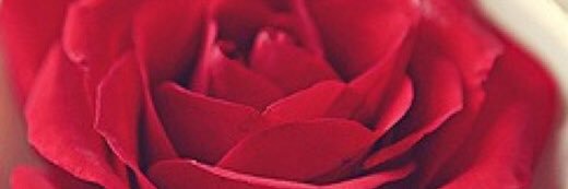 Nada1413a's profile banner image