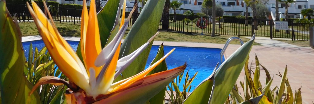 qualityhomescc's profile banner image