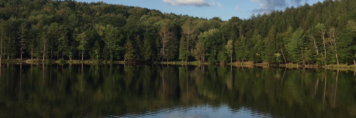 LangInTheField's profile banner image