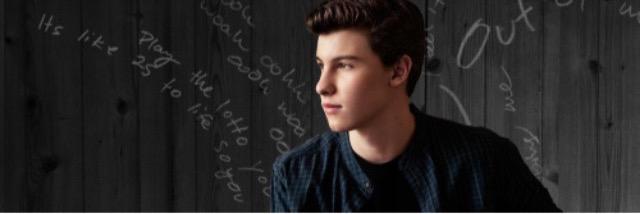 Fol_LovesShawn's profile banner image