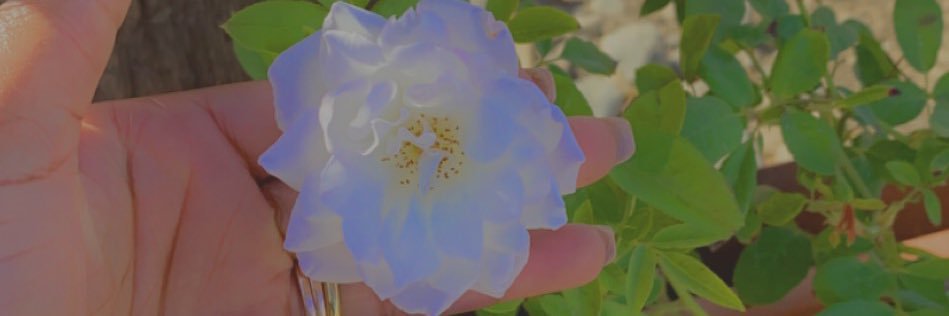 heywards86's profile banner image