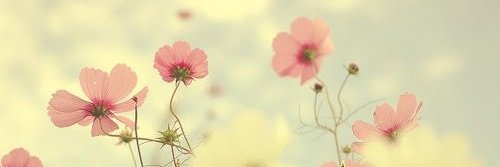 rora_shendi's profile banner image
