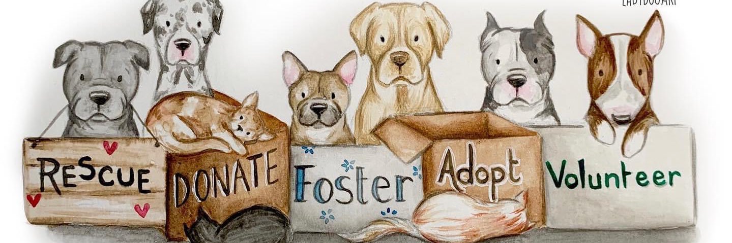 👁‍🗨👁‍🗨Tania ⚯͛ banner